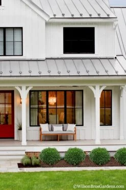 Korean Dwarf Boxwood - Buxus Sinica Var. Insularis 'Nana' - 1 Gallon Pot 9 Korean Dwarf Boxwood - Buxus Sinica Var. Insularis 'Nana' - 1 Gallon Pot -Flora Bloom Shop Boxwood Korean Dwarf Insularis Nana 4 1