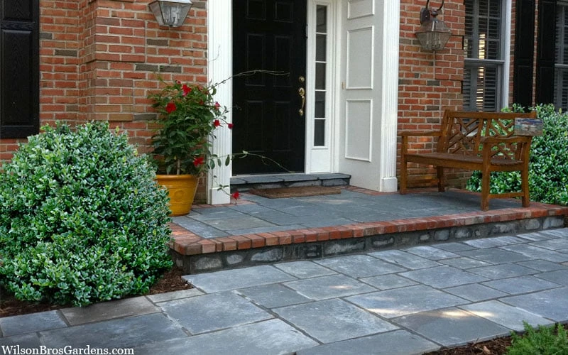 Gordo Boxwood - 6 Pack Of 1 Gallon Pots 6 Gordo Boxwood - 6 Pack Of 1 Gallon Pots - Image 6