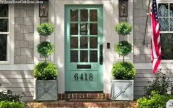 Green Mountain Boxwood 3-Ball Poodle Tier Topiary - 6 Gallon Pot 7 Green Mountain Boxwood 3-Ball Poodle Tier Topiary - 6 Gallon Pot -Flora Bloom Shop buxus green mountain 3 ball topiary 20