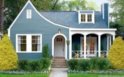 Gold Mop Threadleaf Cypress - 1 Gallon Pot -Flora Bloom Shop chamaecyparis pisifera gold mop cypress 105 2