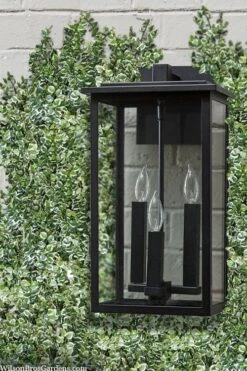 Variegated Creeping Fig (Ficus Pumila 'Variegata') - 10 Pack Of 4" Pint Pots -Flora Bloom Shop ficus pumila variegata creeping fig 102