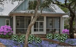 Snow Globe Gardenia - 1 Gallon Pot -Flora Bloom Shop gardenia jasminoides snow globe 2 1