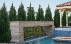 Spartan Juniper - 3 Gallon Pot -Flora Bloom Shop juniperus chinensis spartan columnar juniper 40