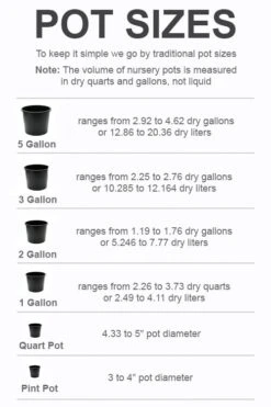 Flora Bloom Shop -Flora Bloom Shop pot size chart 2022 613